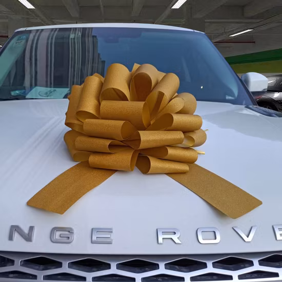 Крытый и открытый лук Gjxh